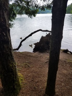 Baker Bay Park by null