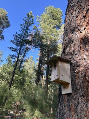 Pine Valley Recreation Area by null