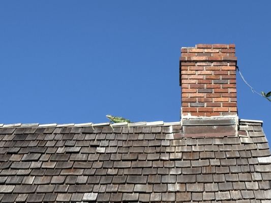 Bill Baggs Cape Florida State Park by null