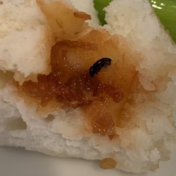Full Kee Restaurant - Bug! Lucky I looked at it as I was about to eat it - Chinese Near Me - Richmond, Virginia Full Kee Restaurant - Bug! Lucky I looked at it as I was about to eat it - Chinese Near Me - Richmond, Virginia