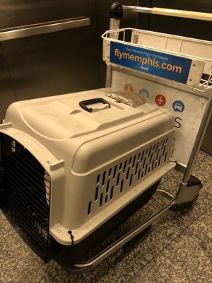 United Airlines by null