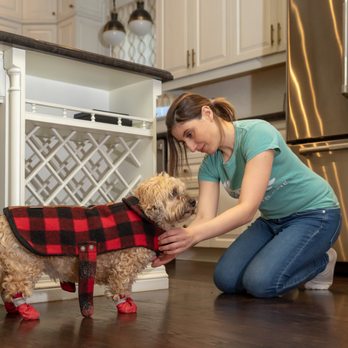 PetsGo Pet Care - Dog Walkers Near Me PetsGo Pet Care - Dog Walkers Near Me