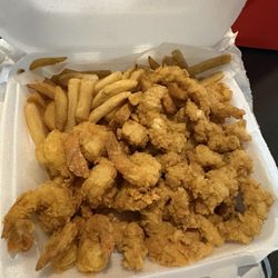 Conch and SHRIMP DINNER