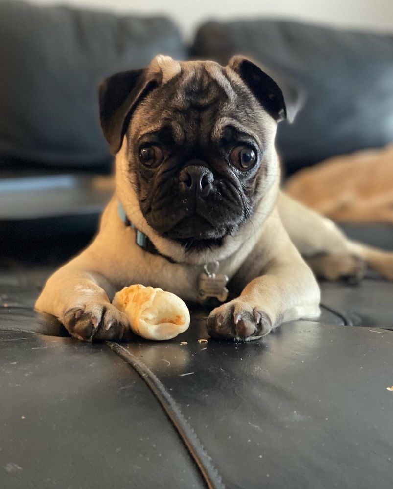 FEEDERS SUPPLY Updated October 2024 4394 Eastgate Square Dr