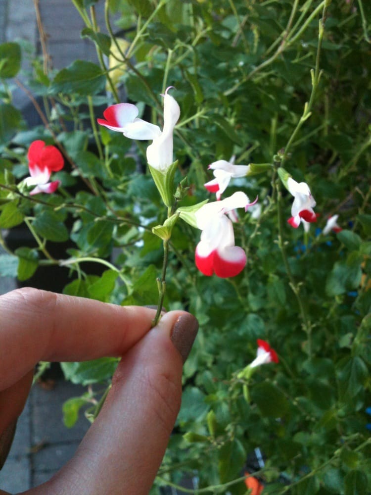 HOMEBASE Updated August 2024 Manor Road, Surrey, London, United