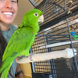 All Bird Clinic Of The Palm Beaches
