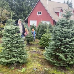 Kraxberger Farms - Coming up from the barn to start looking for our tree