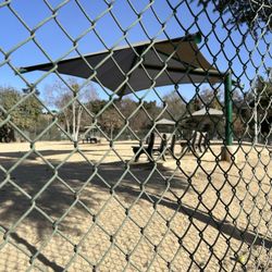 Large dog area  Jan 2025