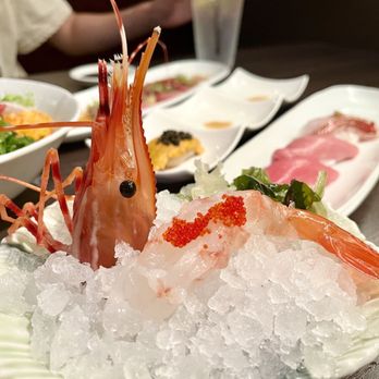 Opus Sushi - Japanese Near Me - Arcadia, California Opus Sushi - Japanese Near Me - Arcadia, California