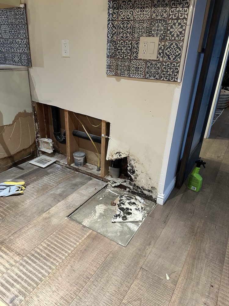 Moldnosis - mold inspector in Fallbrook, CA