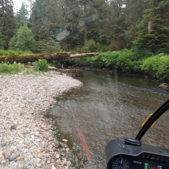 Ketchikan Helicopters - We dropped down to the river to get a better look at a shy bear. - Tours Near Me