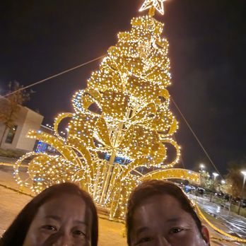 Christmas Tree at Aquatic Center - Public Art Near Me - Elk Grove, California Christmas Tree at Aquatic Center - Public Art Near Me - Elk Grove, California