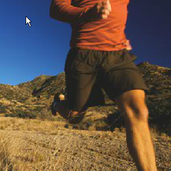 Agnello Spine & Sports Physical Therapy