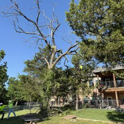 Cross Timbers Arborist