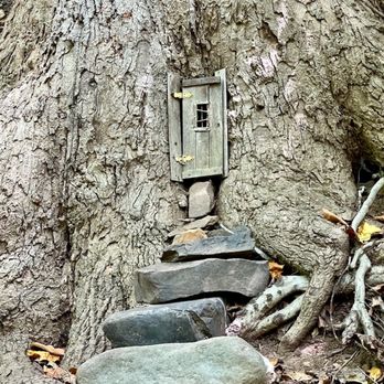 South Mountain Fairy Trail - Kids Activities Near Me