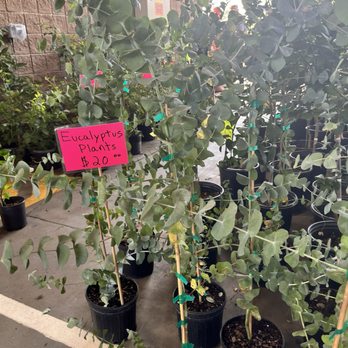 State Farmers Market - Huge selection of plants - Farmers Market Near Me - Raleigh, North Carolina State Farmers Market - Huge selection of plants - Farmers Market Near Me - Raleigh, North Carolina