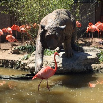 Central Coast Zoo - Zoos Near Me - Atascadero, California