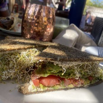ChocolaTree - avocado herb sandwich - Vegetarian Near Me - Sedona, Arizona ChocolaTree - avocado herb sandwich - Vegetarian Near Me - Sedona, Arizona