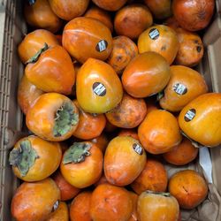 Foyu is back.. I love parsimom fruit, October month