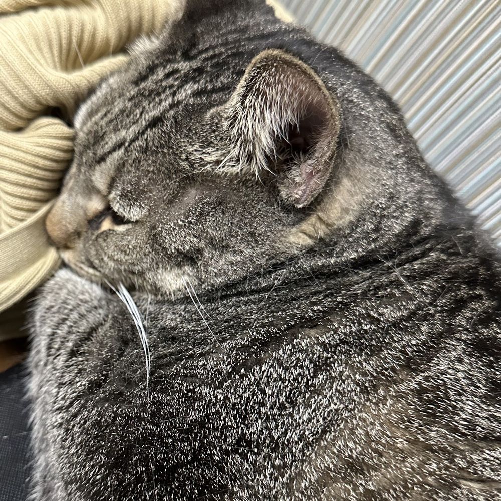 24/7 PetVets - In exam room waiting - Emergency Pet Hospital Near Me - Fresno, California 24/7 PetVets - In exam room waiting - Emergency Pet Hospital Near Me - Fresno, California