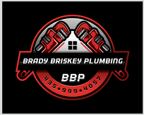 Brady Briskey Plumbing Logo