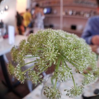 Aurora - Table floral arrangements. - Coffee & Tea Near Me - Oklahoma City, Oklahoma Aurora - Table floral arrangements. - Coffee & Tea Near Me - Oklahoma City, Oklahoma