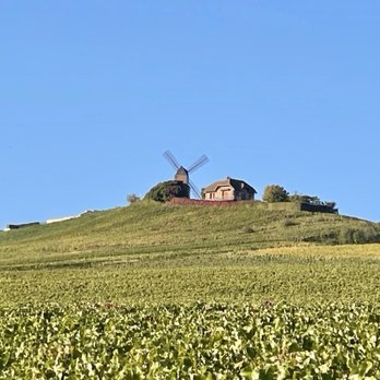 Paris Champagne Tour - Vinyard - Wine Tours Near Me - Meudon, 92