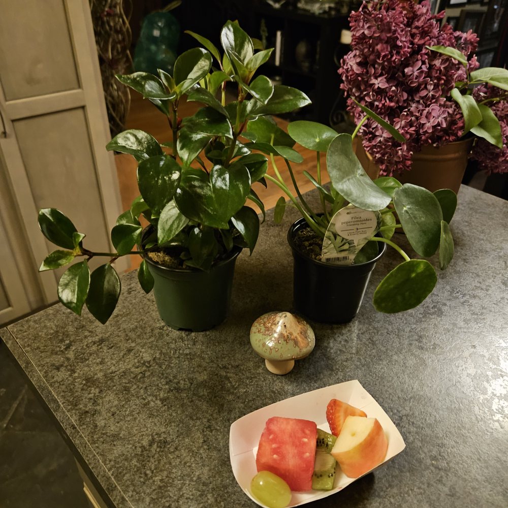 Curiosities Vintage Mall - 4/18/2024 - a wonderful 6-9pm shopping event! Such a great time! My drink ticket scored a fruit skewer + a delicious strawberry lemonade! - Antiques Near Me - Tigard, Oregon