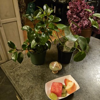 Curiosities Vintage Mall - 4/18/2024 - a wonderful 6-9pm shopping event! Such a great time! My drink ticket scored a fruit skewer + a delicious strawberry lemonade! - Antiques Near Me - Tigard, Oregon Curiosities Vintage Mall - 4/18/2024 - a wonderful 6-9pm shopping event! Such a great time! My drink ticket scored a fruit skewer + a delicious strawberry lemonade! - Antiques Near Me - Tigard, Oregon