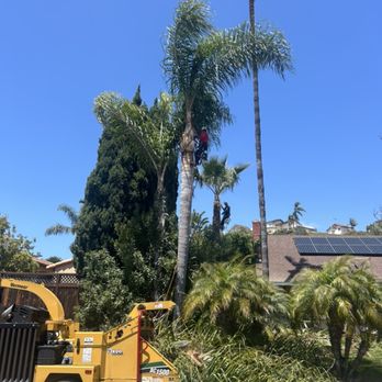 Go Green Tree Service - Tree Services Near Me Go Green Tree Service - Tree Services Near Me