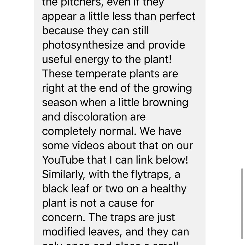 Their response to my pictures and notice that the plants were less than healthy at arrival. Their response to my pictures and notice that the plants were less than healthy at arrival.