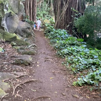 Kapena Falls - Local Flavor Near Me - Honolulu, Hawaii