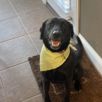 The Dog House - Pet Groomers Near Me - Frisco, Texas The Dog House - Pet Groomers Near Me - Frisco, Texas
