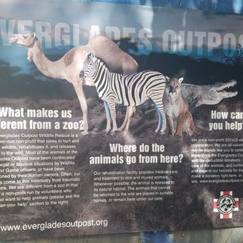 Everglades Outpost - Information about the EO - Zoos Near Me - Homestead, Florida Everglades Outpost - Information about the EO - Zoos Near Me - Homestead, Florida
