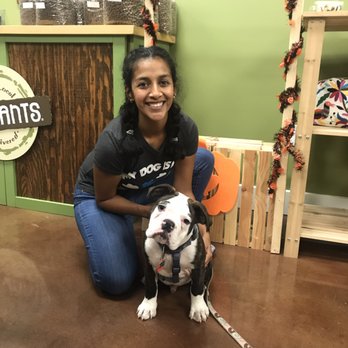 Pup Pup & Away - Pet Training Near Me - San Antonio, Texas Pup Pup & Away - Pet Training Near Me - San Antonio, Texas