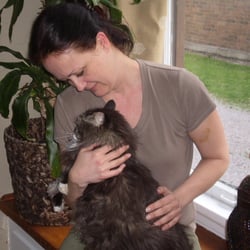 Loving Hands Yoga and Reiki