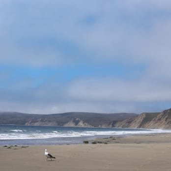 Drakes Beach - Raining day - Beaches Near Me - Point Reyes Station, California Drakes Beach - Raining day - Beaches Near Me - Point Reyes Station, California