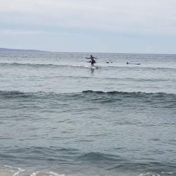 Paia Surf Lessons