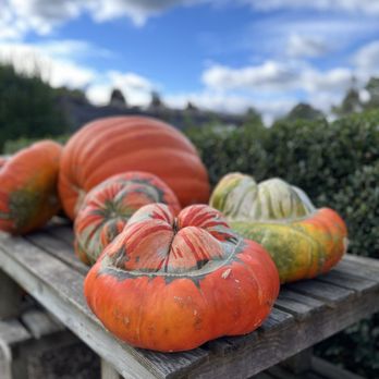 The Farmer's Daughter - Nurseries & Gardening Near Me - Wakefield, Rhode Island