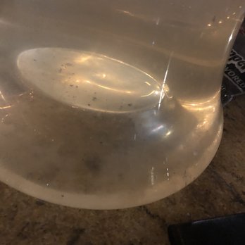 Pyramido - That's another picture of the water with the stuff floating inside of it - Hookah Bars Near Me - North Hollywood, California Pyramido - That's another picture of the water with the stuff floating inside of it - Hookah Bars Near Me - North Hollywood, California