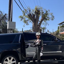 Daughter Of The Risen King - Ready For Your Next Safe Affordable Professional Chauffeur Ride Contact Daughter Of The Risen King