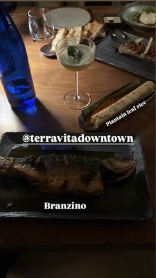 Terravita Downtown by null