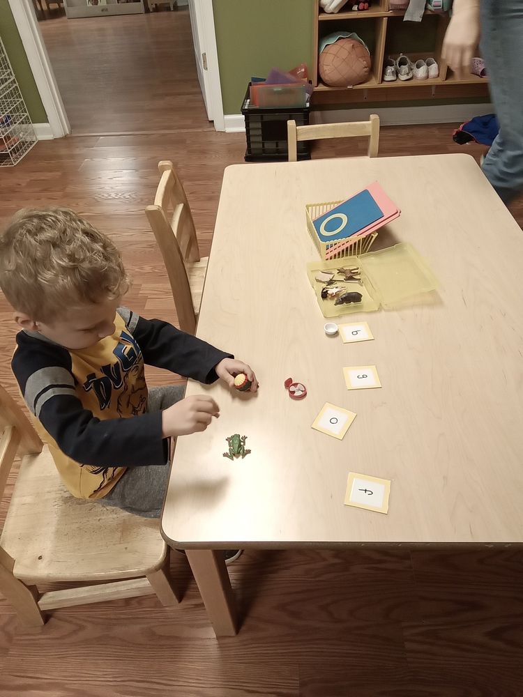 Meadows Montessori - childcare center in Frederick, MD