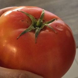 Alexis Deli & Grocery - Love a good tomato