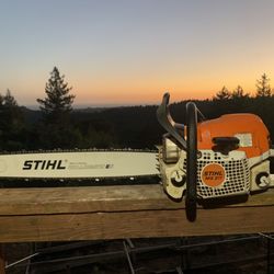 Watsonville Pawn - Stihl MS311 purchased from Watsonville Pawn.