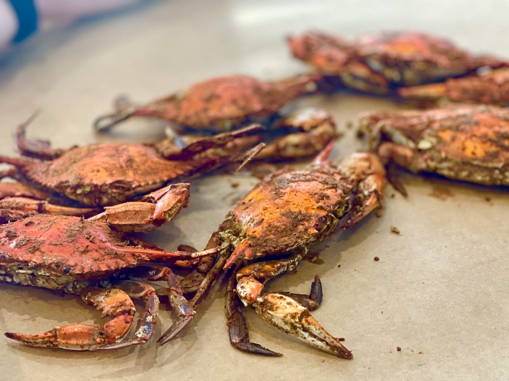 VINCE’S CRAB HOUSE MIDDLE RIVER 70 Photos & 80 Reviews Middle