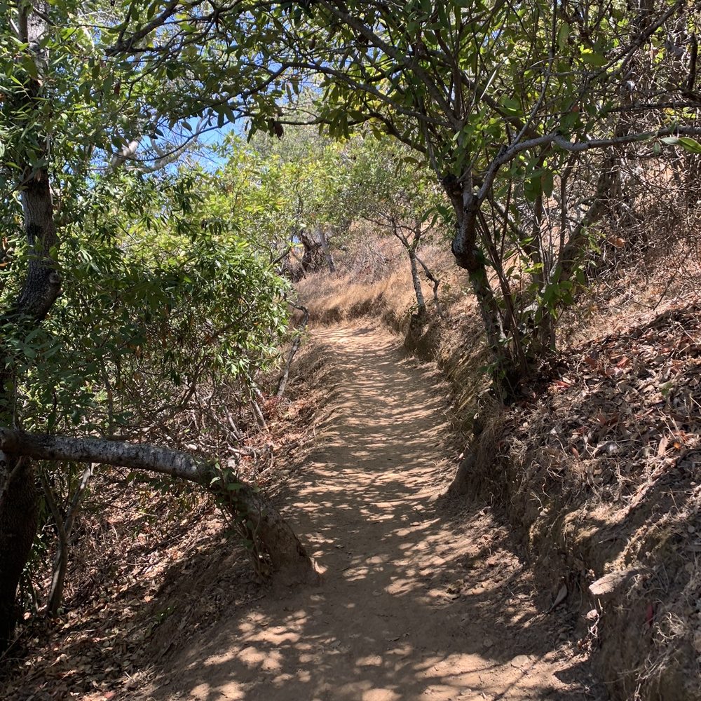 Eaton Park - Shaded areas - Parks Near Me - San Carlos, California Eaton Park - Shaded areas - Parks Near Me - San Carlos, California