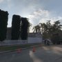 Photo of The Best Tree Care Service