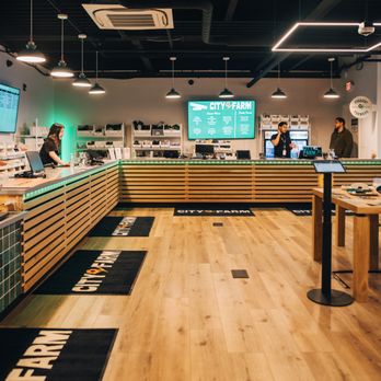 Silver Therapeutics - City Farm - Cannabis Dispensaries Near Me - Roslindale, Massachusetts Silver Therapeutics - City Farm - Cannabis Dispensaries Near Me - Roslindale, Massachusetts
