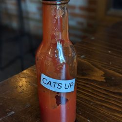 Revelstoke Cafe - Cats up. What's up?